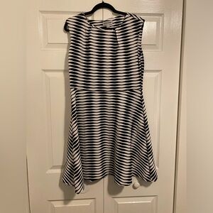 Size XL Knee Length Dress by Shelby & Palmer